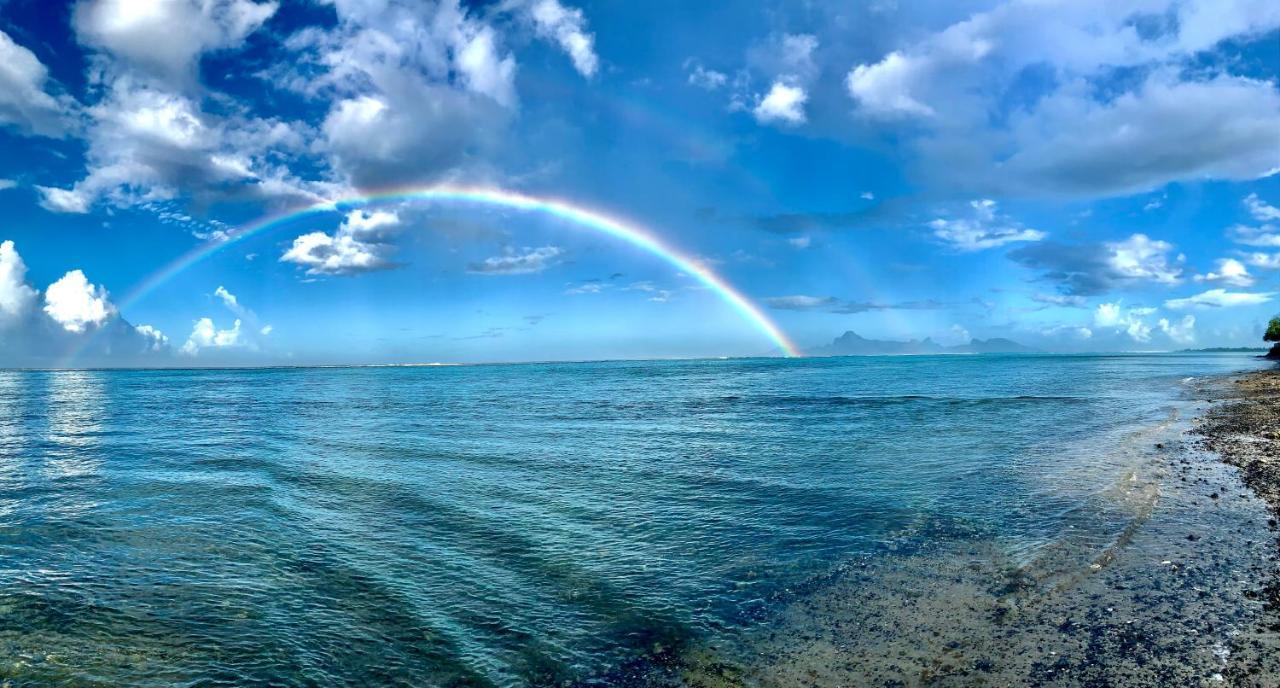 Superbe Bord De Mer, Acces Lagon Et Piscine Privee Paea Bagian luar foto